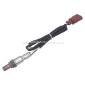 04E906262BB Oxygen sensor